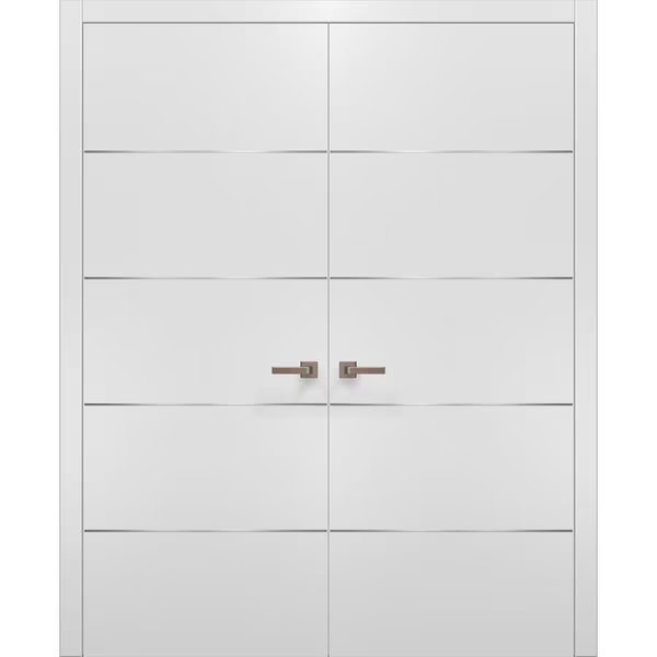 Double Pocket Interior Door, 48